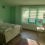 Kemal Stone House Hotel. Gasthof 4*